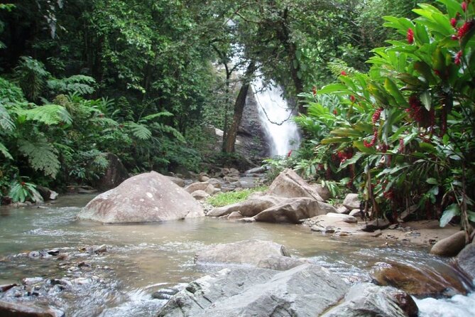 ''Coral Coast Adventure: Biausevu Waterfall & Natadola Beach !'' - The rainforest walk to Biausevu Waterfall