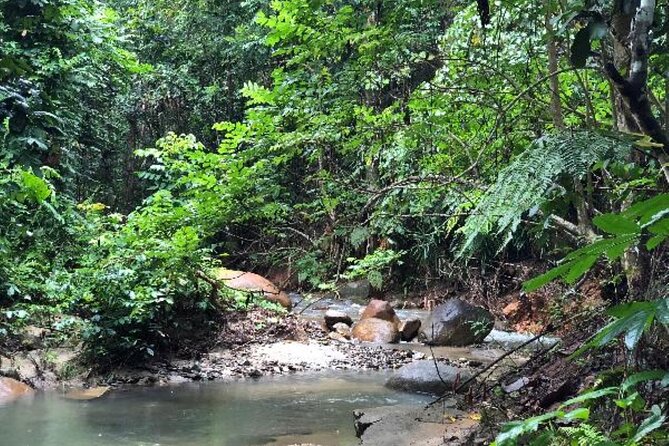 ''Coral Coast Adventure: Biausevu Waterfall & Natadola Beach !'' - One hour at Natadola Beach