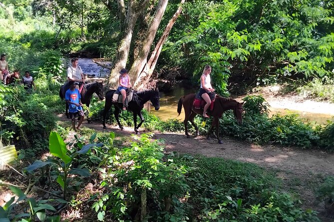 ''Coral Coast Adventure: Biausevu Waterfall & Natadola Beach !'' - What the $148.16 price really covers