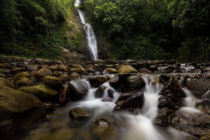 Coral Coast Adventure: Biausevu Waterfall & Natadola Beach - Walking through the forest to Biausevu Waterfall