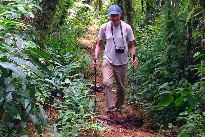 Crater Lake Hike and Swim - A volcanic lake reached by rainforest trail