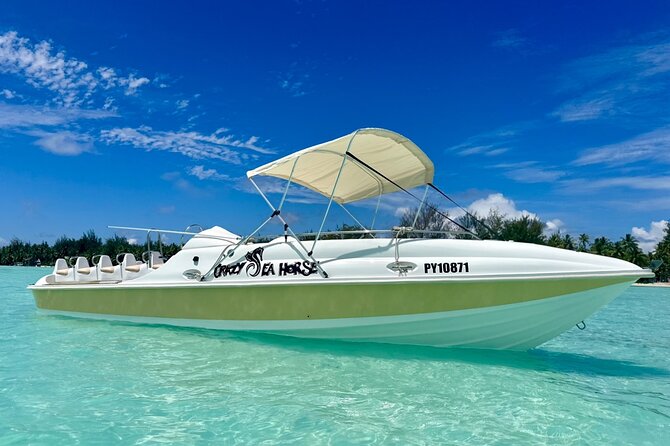 Crazy sea horse Bora Bora Comfortable boat, snorkeling and lunch - Why this Bora Bora tour feels different