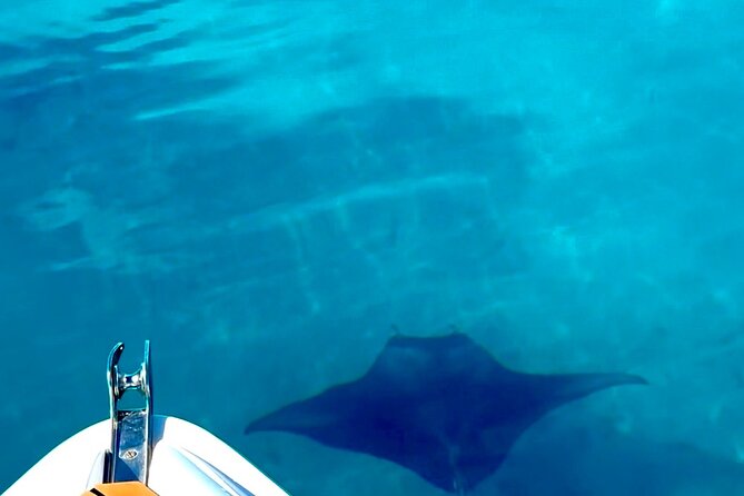 Crazy sea horse Bora Bora Comfortable boat, snorkeling and lunch - Who should book this outing