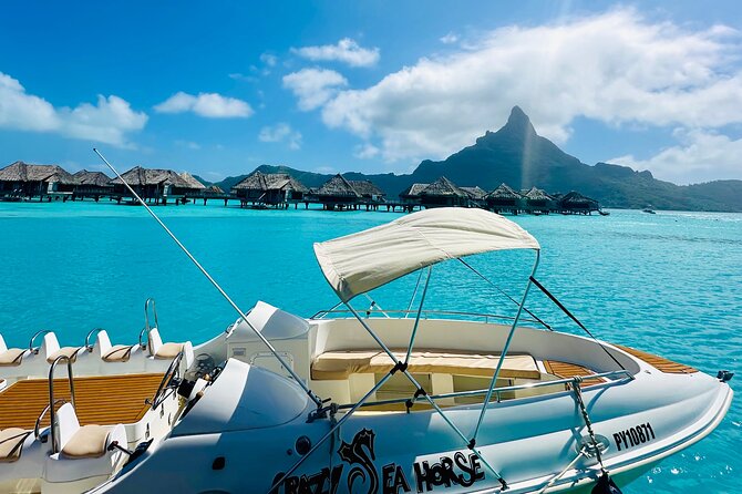 Crazy sea horse Bora Bora Comfortable boat, snorkeling and lunch - The 8:30 am start and meeting details