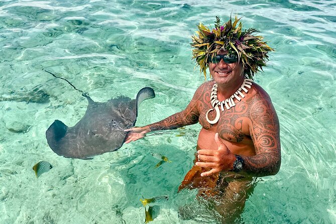 Crazyseahorseborabora Comfortable boat , sensational snorkeling . - Key things to know before booking