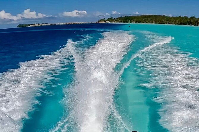 Crazyseahorseborabora Comfortable boat , sensational snorkeling . - Is the $170 price good value?
