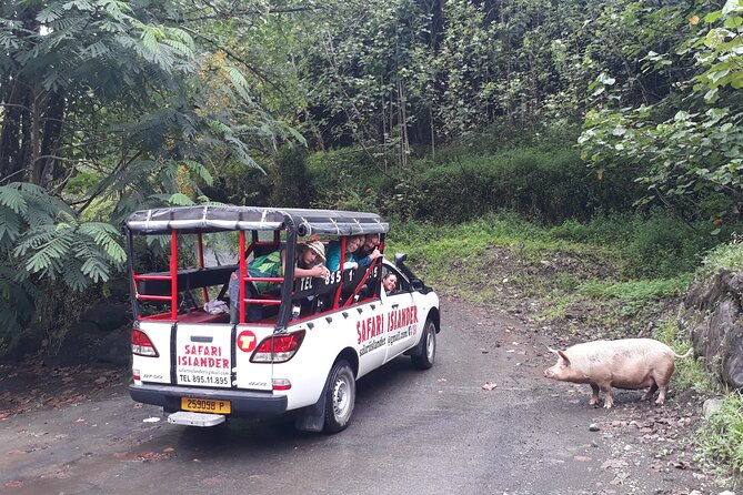 Crossing Island of Tahiti 4x4 Mountain, Waterfall, River, Basins - Is $138 a fair price?