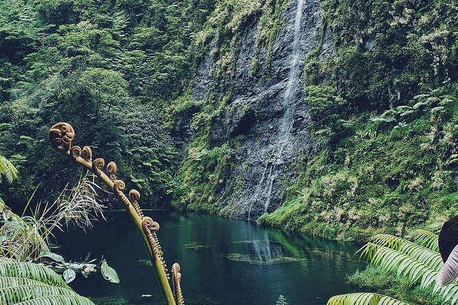 Crossing Over Tahiti Island Safari 4x4 - Why Tahiti’s interior is worth a full day