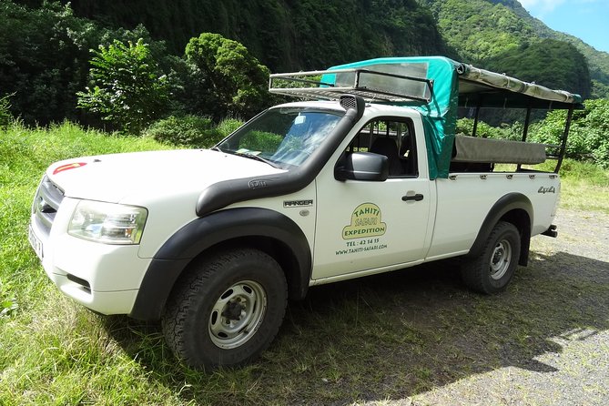 Crossing Over Tahiti Island Safari 4x4 - Rainforest, giant ferns, and mountain streams