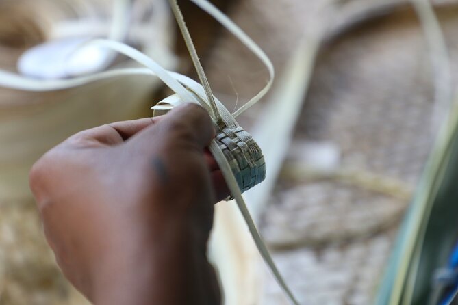 Cultural Day Tour - Kava Ceremony and a Choice for Your Stomach