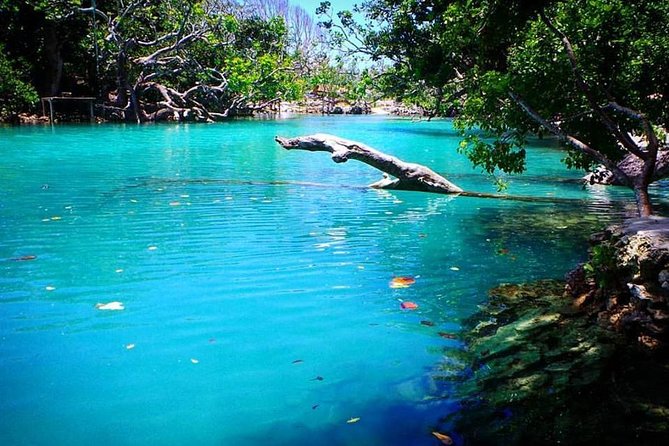 Cultural Experience & Blue Lagoon with Yumi Tours - Blue Lagoon: bring your swimsuit and a towel
