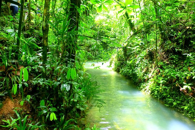 Customized Suva day tour - Pickup, vehicles, and the private-tour question