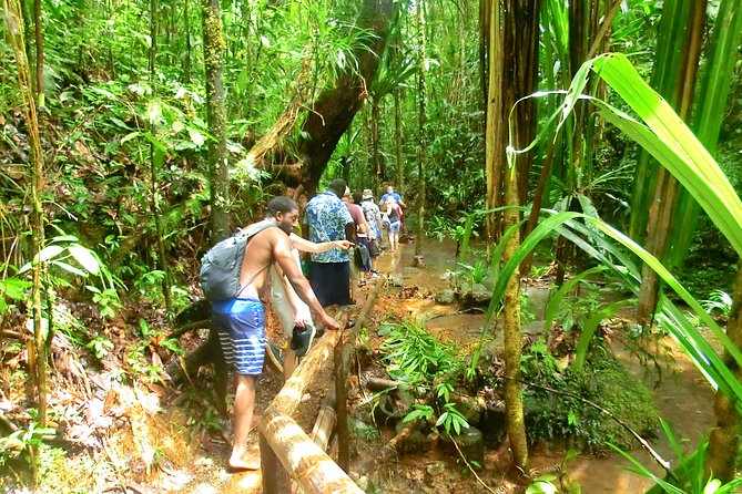 Customized Suva day tour - Who gets the best value
