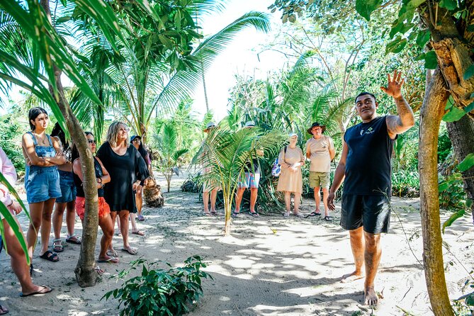 Day and Night Combo Tour - Making time for coconut climbing and fire walking