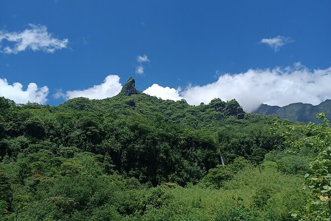 Découvrez le Mana durant la traversée de Tahiti en 4x4 Safari - What the $140.44 price really covers