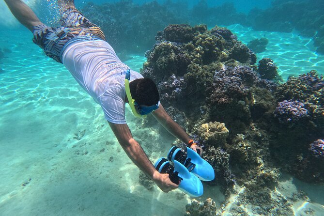 DEEP SEA FISHING 1/2 day (private group) - What a realistic four-hour outing may feel like