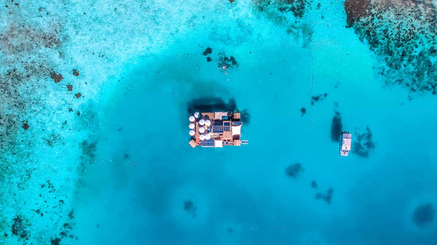 Denarau: Seventh Heaven Floating Bar Day Trip - Your Six Hours at Seventh Heaven