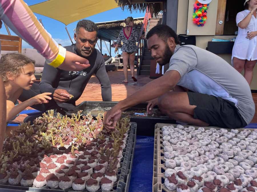 Denarau: Seventh Heaven Floating Bar Day Trip - A Practical Look at the Schedule