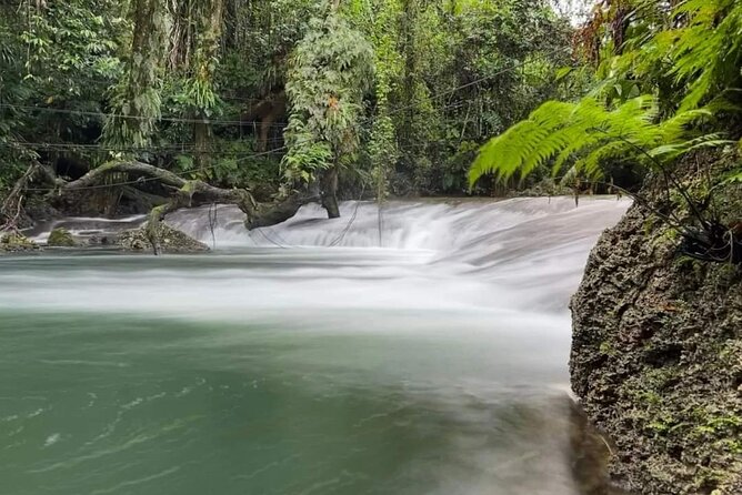 Discover Cascades & Turtle Experience with Yumi Tours - Avi Bay and the turtle conservation visit