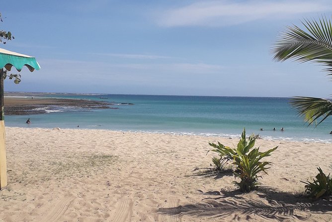 Discover Coral Coast & Natadola Beach Tour - A useful half-day route from Nadi