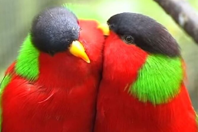 "Discover Fiji's Hidden Gems: Eco Park, Pottery Village & Dunes!" - Who will enjoy this outing most?