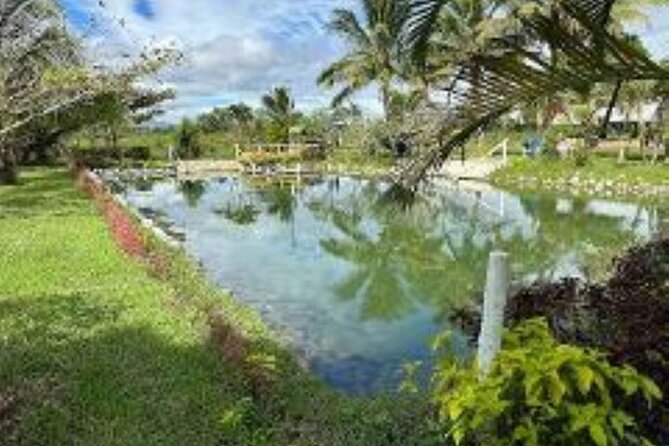 Discover Mud pool/Hot -Spring Nadi - The drive gives the day some local context