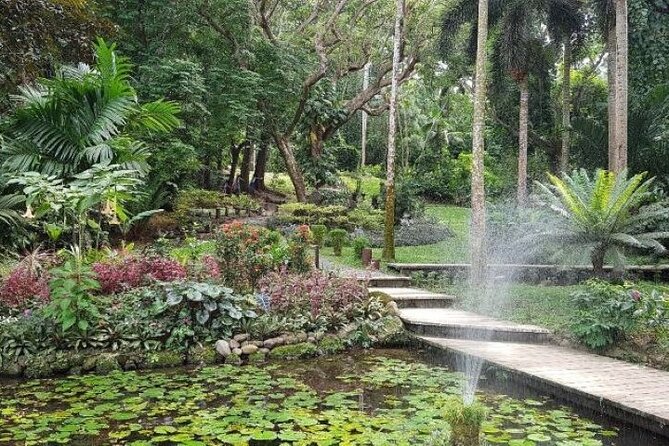 Discover Mud pool/Hot -Spring Nadi - Who will enjoy this most?