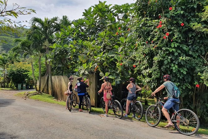 'Discover' Rarotonga Cycling Tour with Lunch - Key points to know before booking