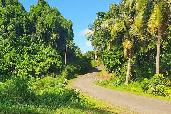 'Discover' Rarotonga Cycling Tour with Lunch - The ride is easy, but not completely effortless