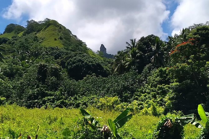 'Discover' Rarotonga Cycling Tour with Lunch - Rutaki Beach is the cool-down