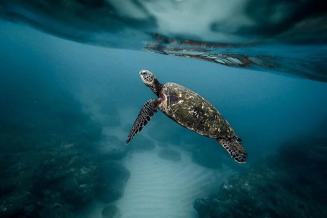 Discover the Beauty of Polynesian Waters by Boat and Snorkeling - Following Tahiti’s coast from Te Moana Tahiti Resort