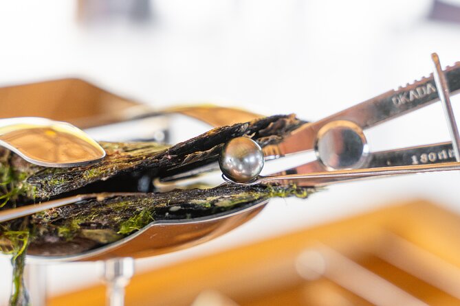 Discover the black pearl in Bora Bora - Why the black pearl is worth understanding