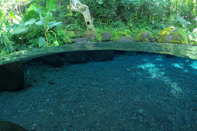Discovering the emblematic sites of Tahiti - Arahurahu Marae adds meaning beyond the scenery