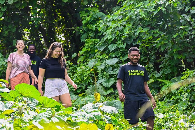 Discovery Bush Walk from Port Vila - What happens during the three-hour walk