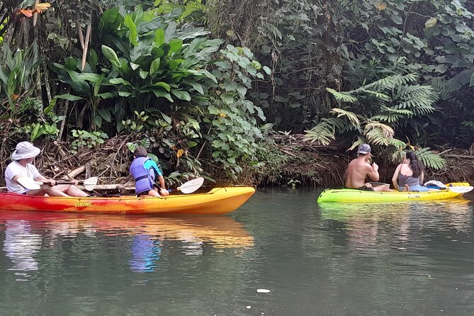 Discovery in Kayaking of the Faaroa River in Raiatea - Paddling into Raiatea’s Faaroa River