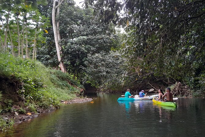 Discovery in Kayaking of the Faaroa River in Raiatea - Small group, with one important warning