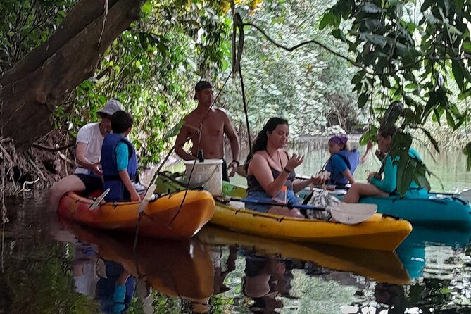 Discovery in Kayaking of the Faaroa River in Raiatea - Is $117.24 a fair price?