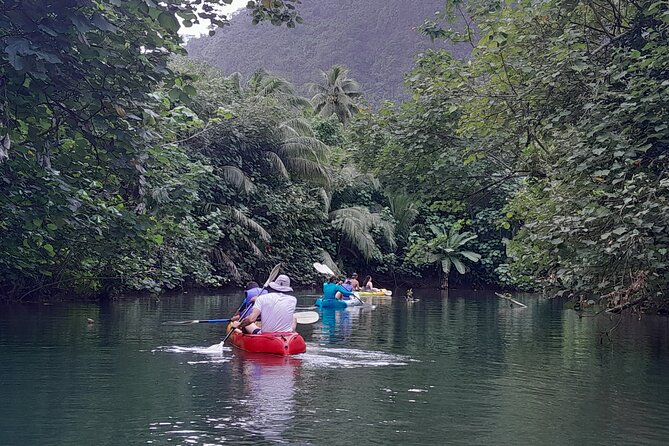 Discovery in Kayaking of the Faaroa River in Raiatea - Comfortable kayaks for an easy morning