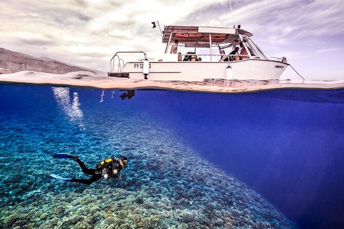 Double Diving Adventure Exploration for Certified Divers - Two morning descents in Tahiti’s clear water