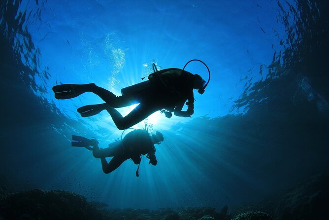 Double Diving Adventure Exploration for Certified Divers - What happens from the 8:00 am meeting