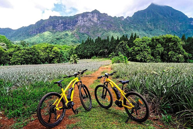 E-Bike Moorea Electric Bike Rental Moorea - Key points to know before you ride