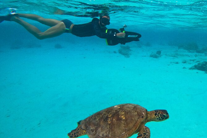 Eco Friendly Sea Scooter Turtle Tour in Rarotonga - Meeting the team at YWAM Cook Islands