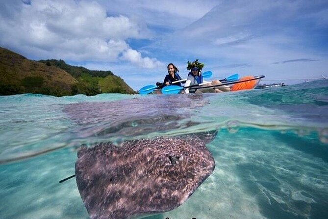 Eco guided excursion to the lagoon of Moorea in transparent kayak 1/2 day morning - Why the transparent kayak changes the morning