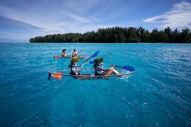 Eco guided excursion to the lagoon of Moorea in transparent kayak 1/2 day morning - The snorkeling stop and marine life