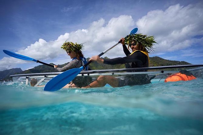 Eco guided excursion to the lagoon of Moorea in transparent kayak 1/2 day morning - What the $91.10 price covers