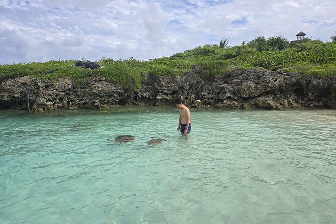 Efate Half Day Trip, Eton Beach, Blue Lagoon and Lunch at Turtle - Lunch and turtles at the sanctuary