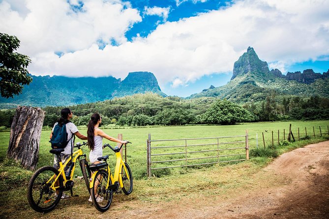 Electric Bike Rental Moorea - Delivery, fitting, and the first few minutes