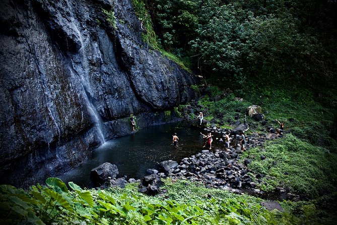 Enjoy Moorea Day Tour - Moorea Tropical Garden and the vanilla stop