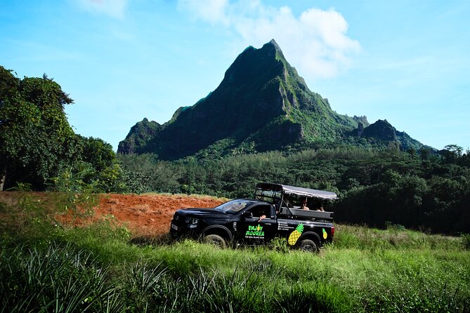 Enjoy Moorea Day Tour - Belvedere Lookout and the island from above