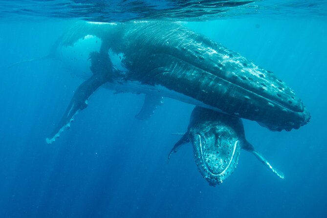 Exclusive Tour of Tongatapu - Ha’amonga ‘a Maui Trilithon